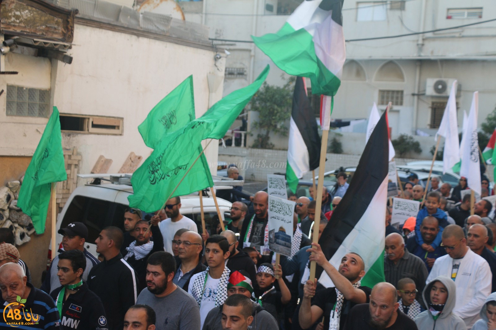 yaffa modahara jeq (60).jpg